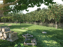 geno_naturfriedhof